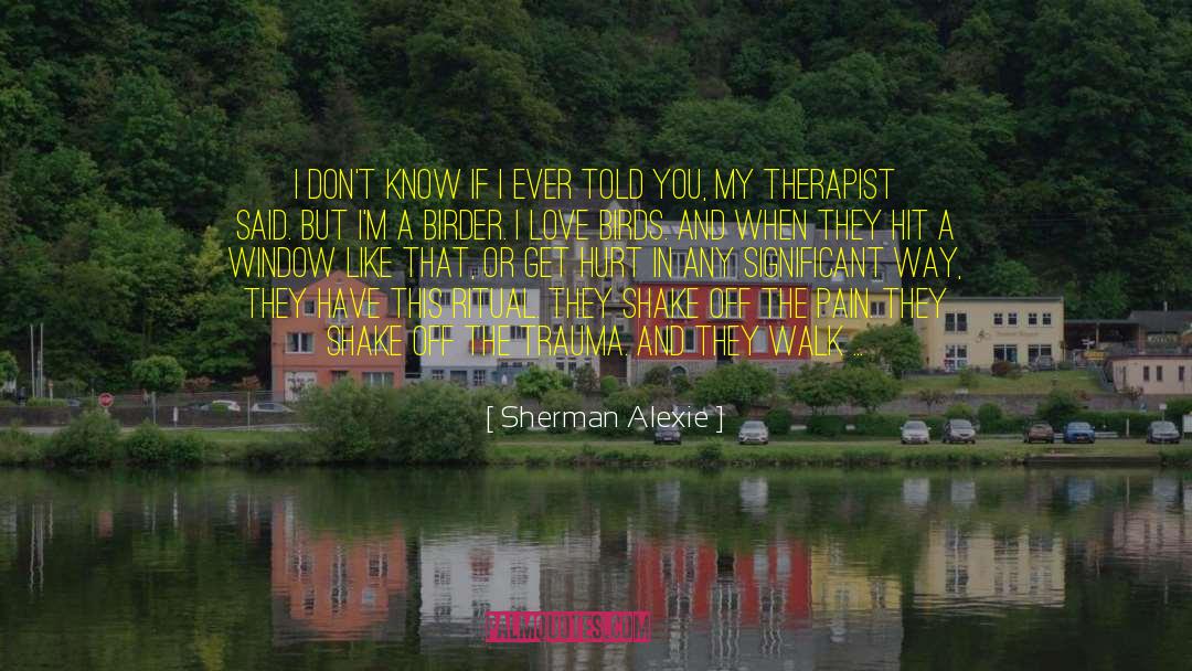 Pain Reflief quotes by Sherman Alexie
