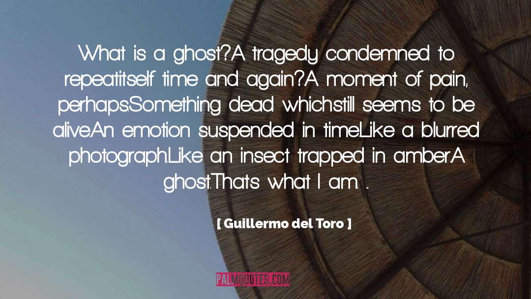 Pain Reflief quotes by Guillermo Del Toro