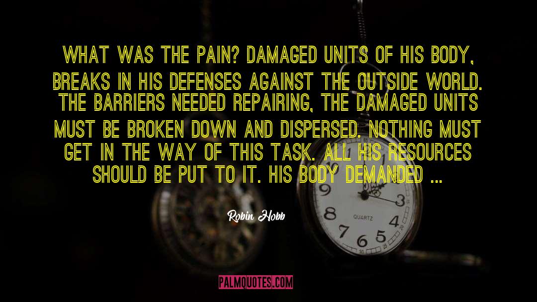 Pain Relief quotes by Robin Hobb