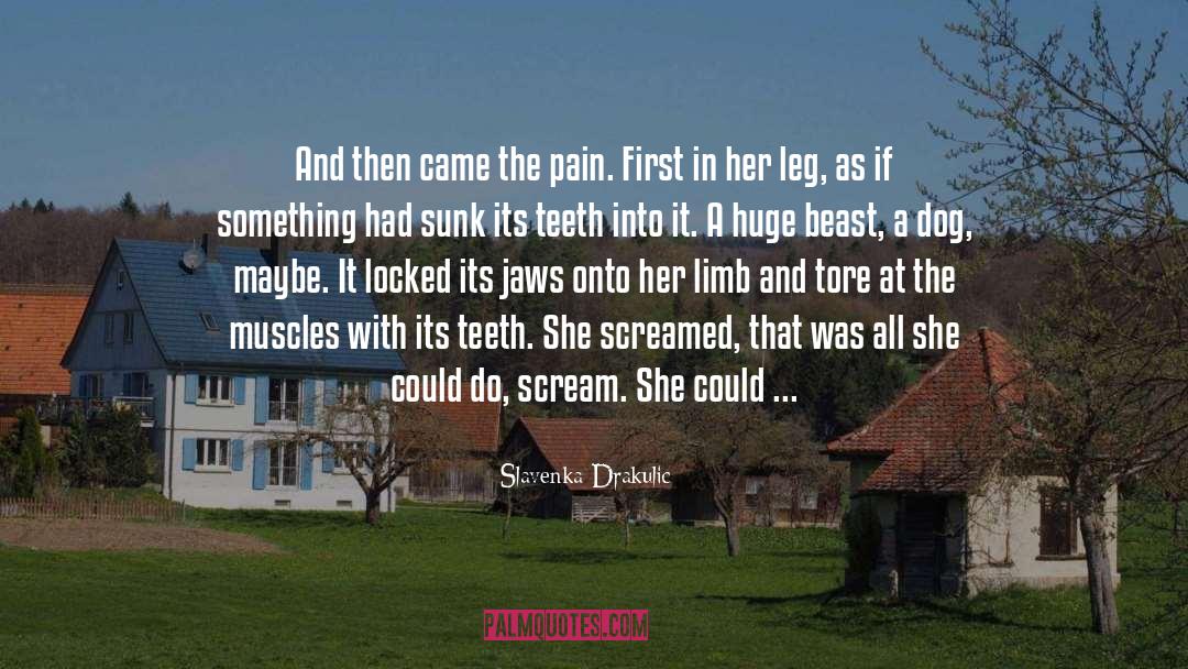 Pain Scream quotes by Slavenka Drakulic