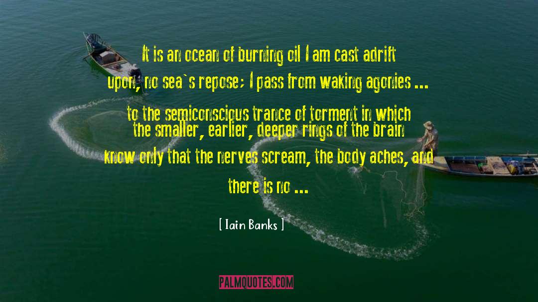 Pain Scream quotes by Iain Banks