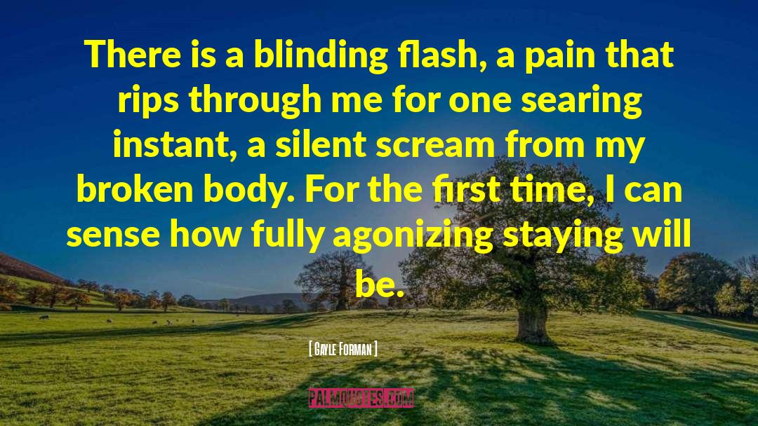Pain Scream quotes by Gayle Forman