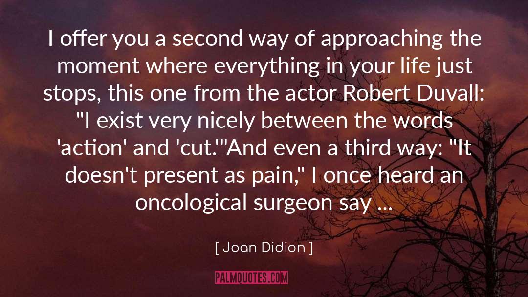 Pain Threshold quotes by Joan Didion