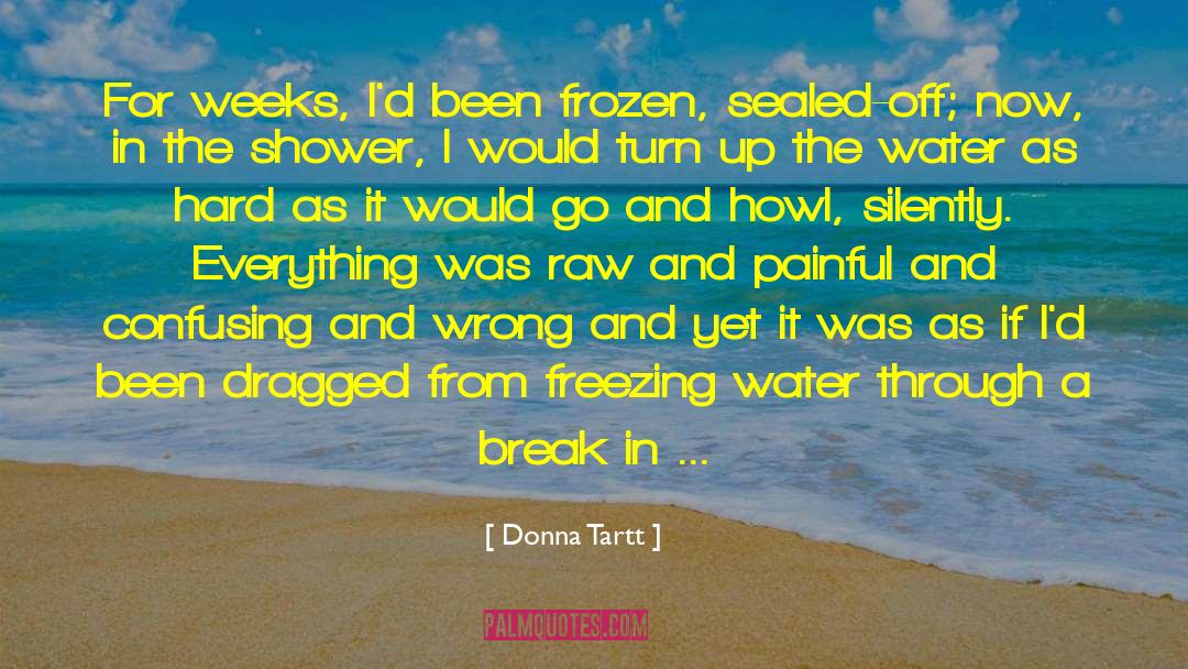 Painful Childhood quotes by Donna Tartt