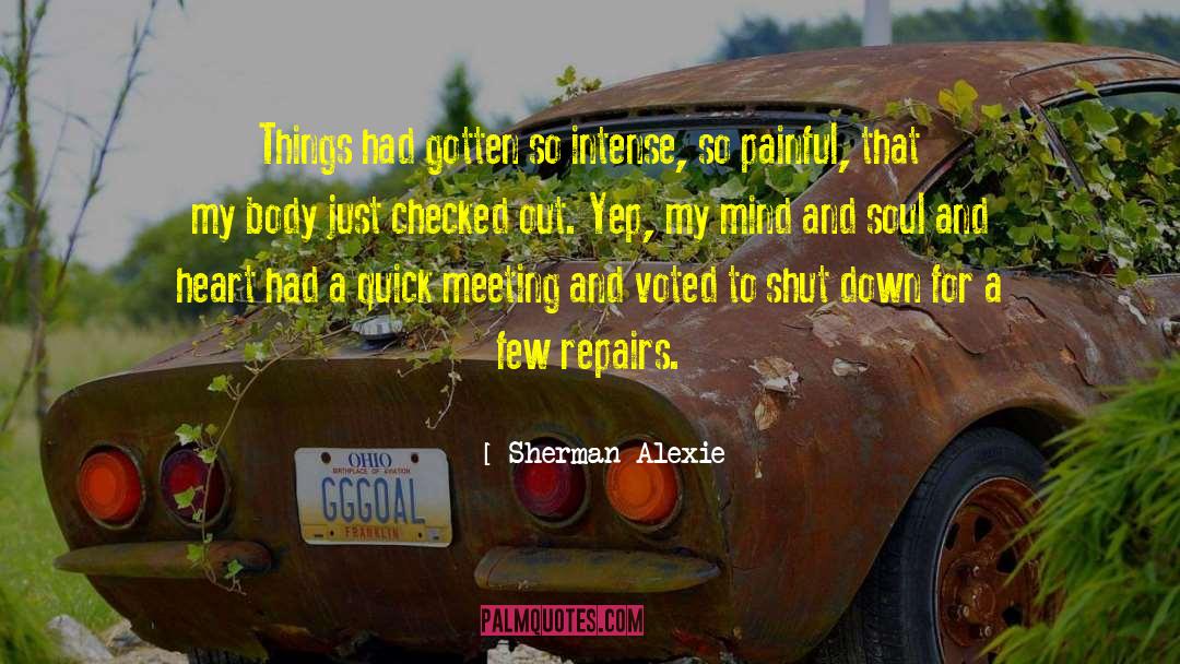 Painful Experiences quotes by Sherman Alexie
