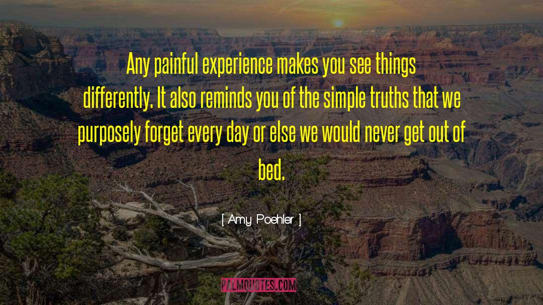 Painful Experiences quotes by Amy Poehler