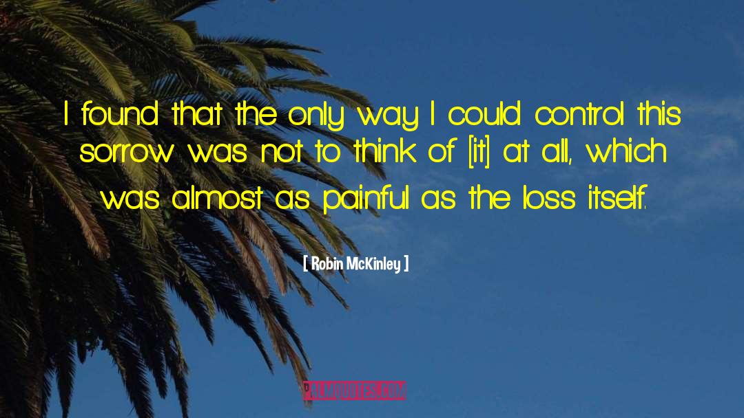 Painful Experiences quotes by Robin McKinley