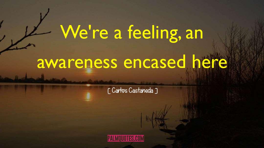 Painful Feelings quotes by Carlos Castaneda