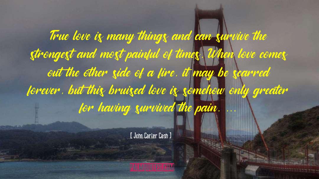 Painful Love quotes by John Carter Cash