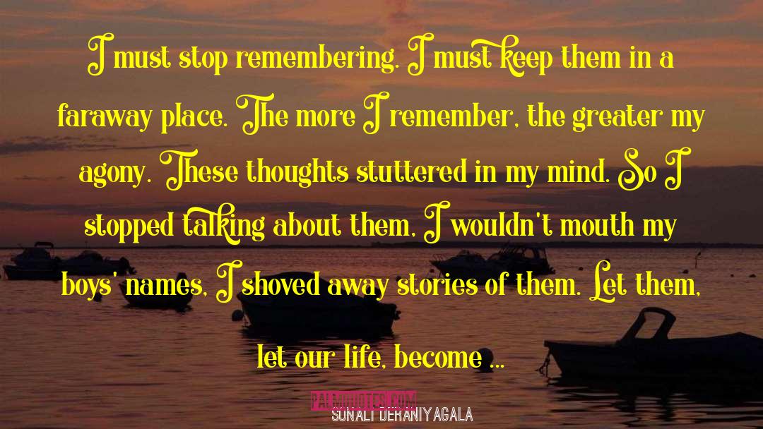 Painful Memories quotes by Sonali Deraniyagala