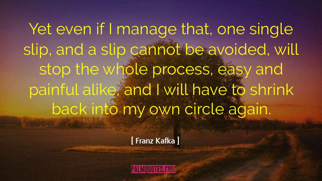 Painful Reminders quotes by Franz Kafka