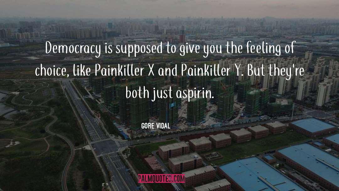 Painkiller quotes by Gore Vidal