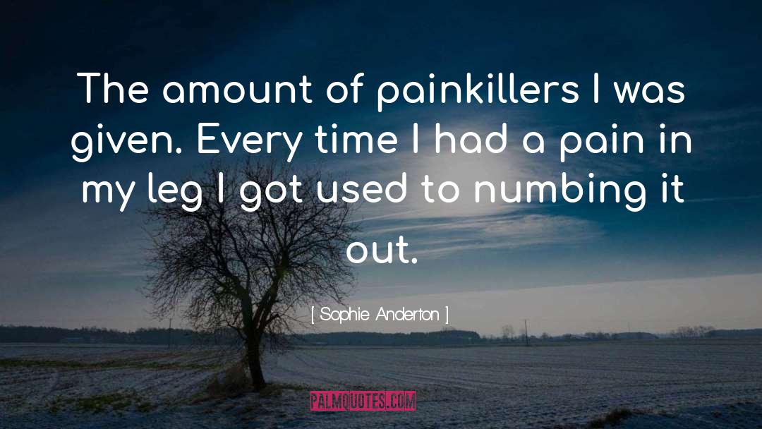 Painkillers quotes by Sophie Anderton