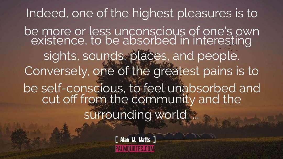 Pains quotes by Alan W. Watts