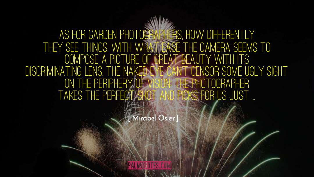 Painting A Perfect Picture quotes by Mirabel Osler