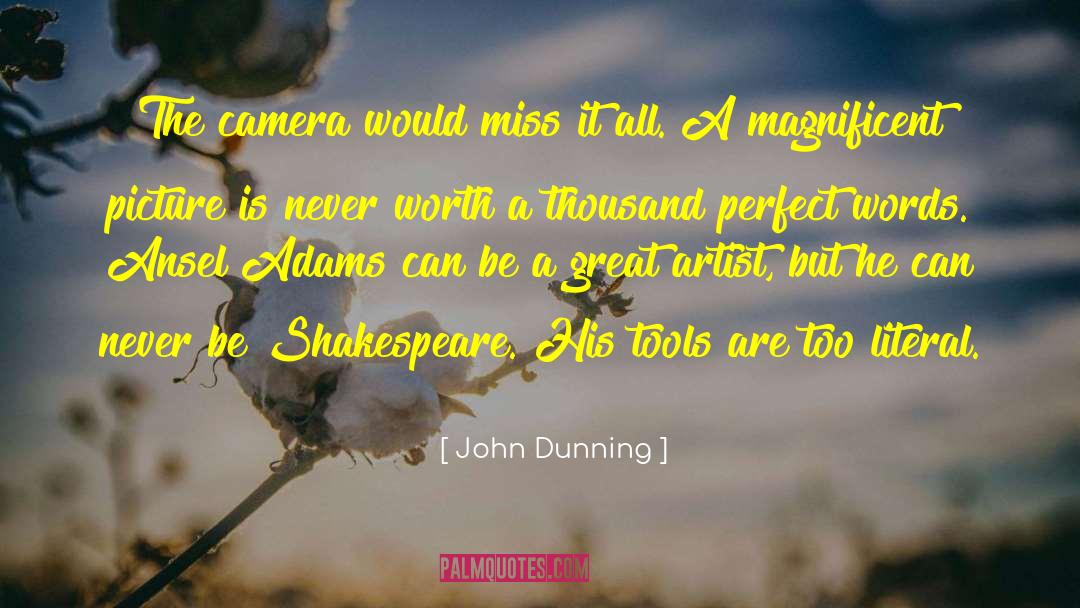 Painting A Perfect Picture quotes by John Dunning