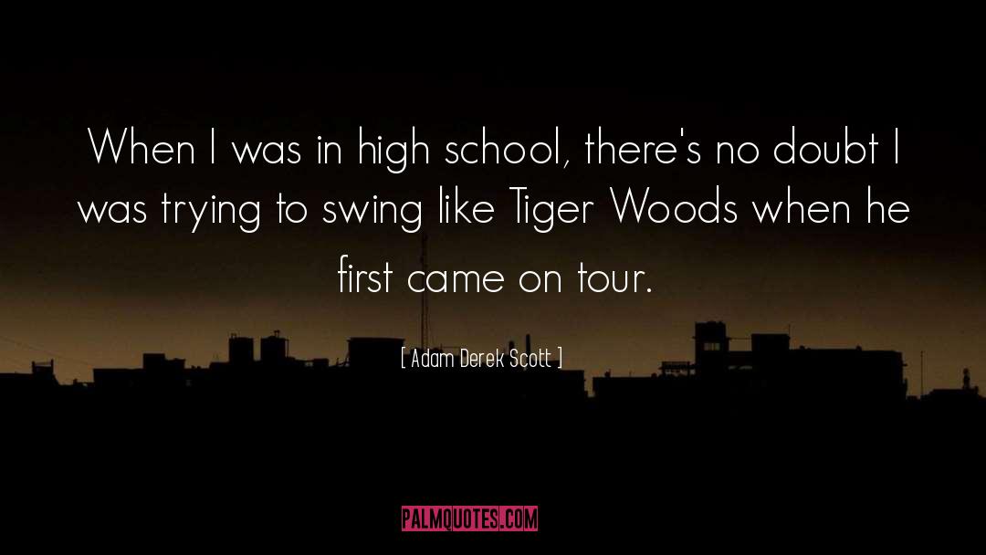 Paisner Swing quotes by Adam Derek Scott