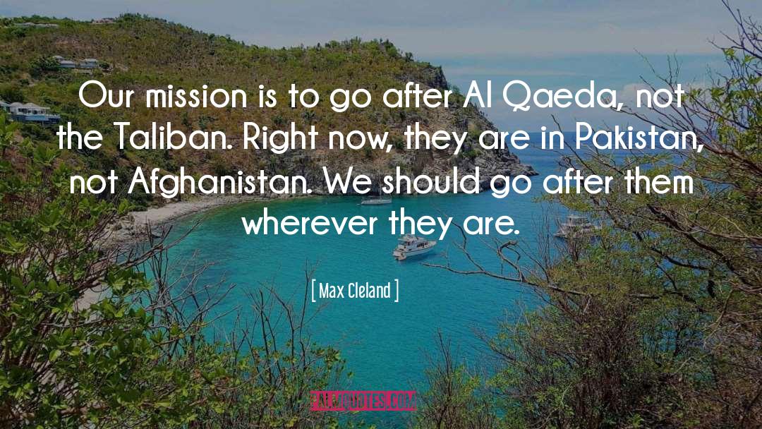 Pakistan quotes by Max Cleland
