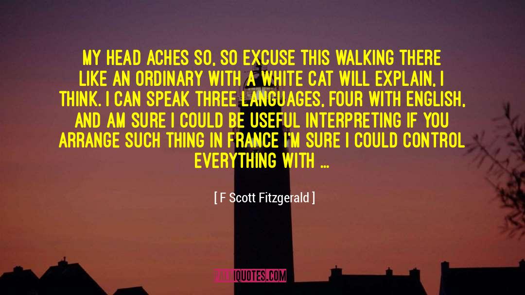 Pakken In English quotes by F Scott Fitzgerald