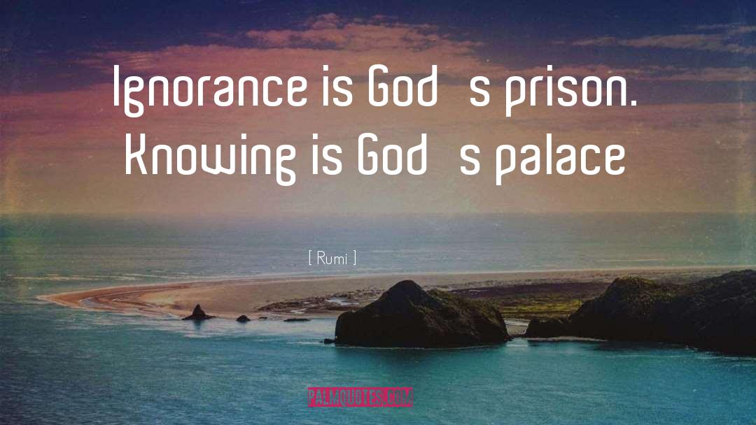 Palaces quotes by Rumi
