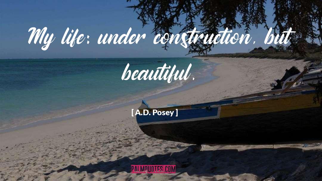 Palasota Construction quotes by A.D. Posey