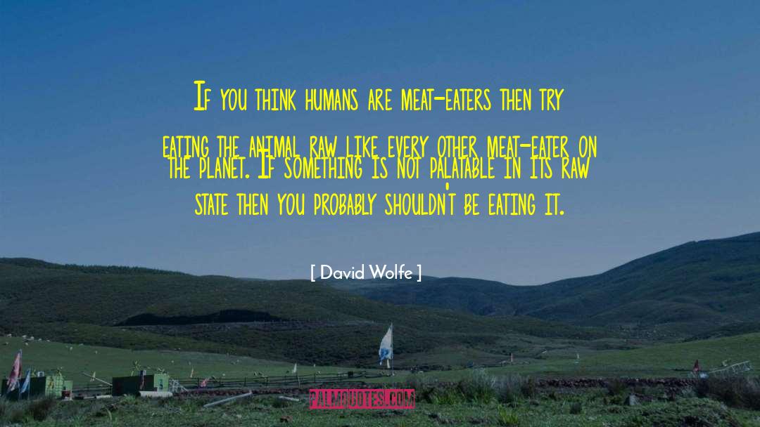 Palatable quotes by David Wolfe
