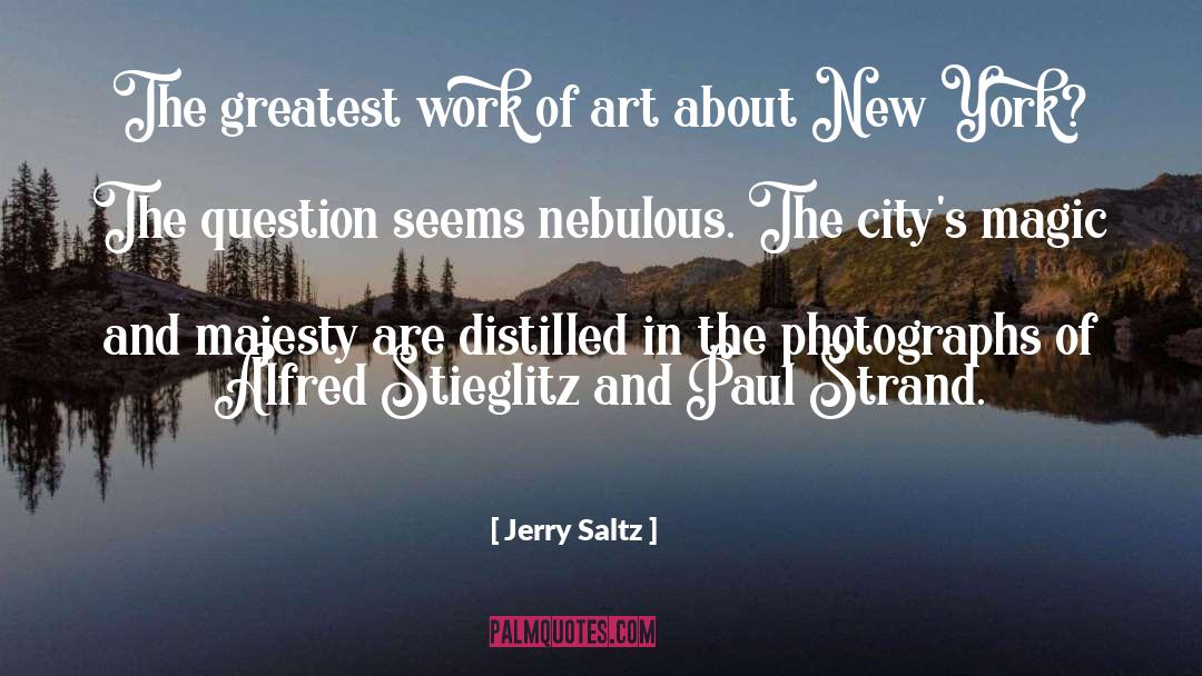 Palatinus Strand quotes by Jerry Saltz