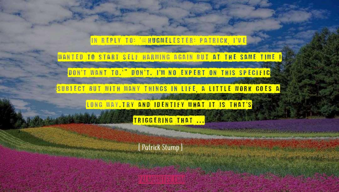 Palczynski Patrick quotes by Patrick Stump