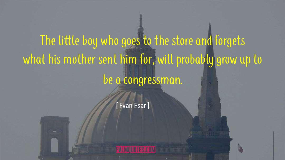 Pale Boys quotes by Evan Esar