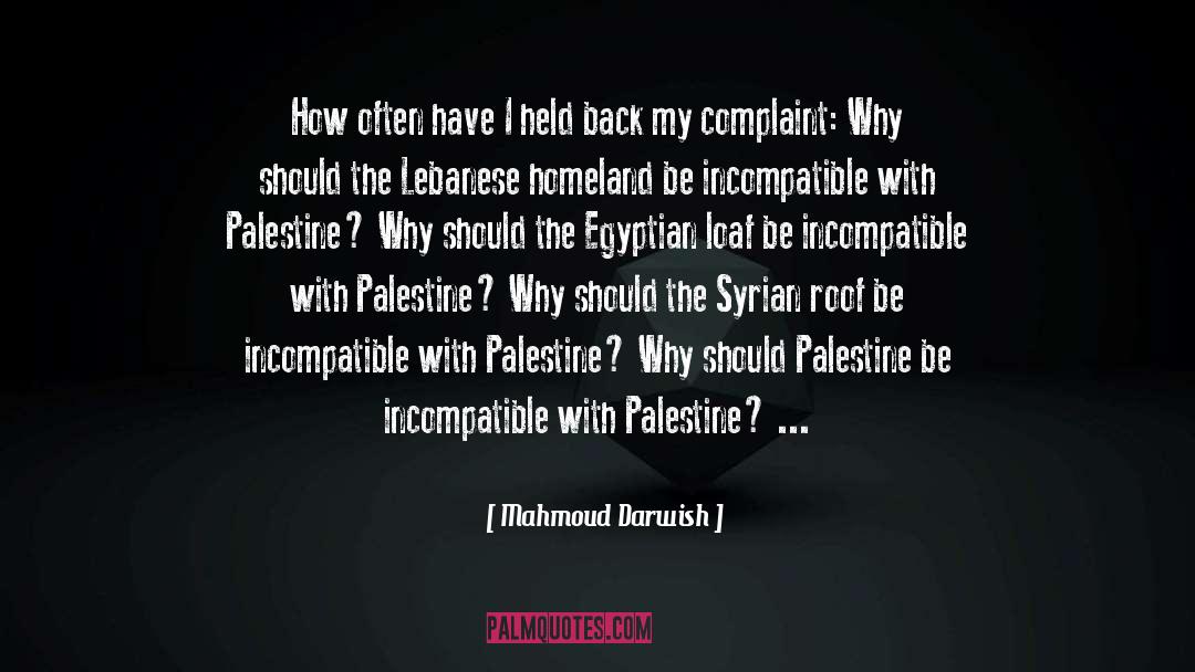 Palestine quotes by Mahmoud Darwish