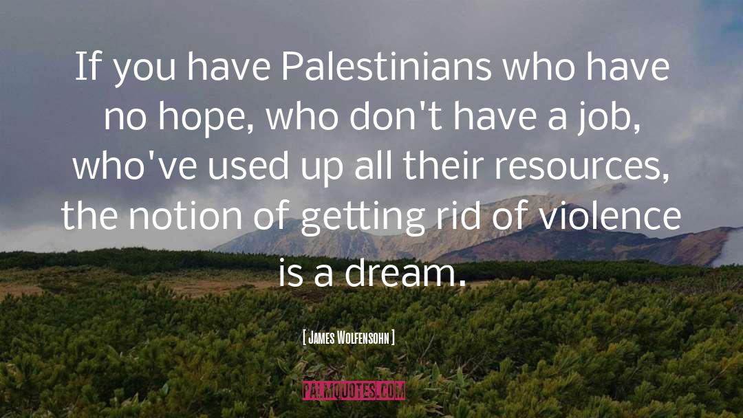 Palestinian quotes by James Wolfensohn