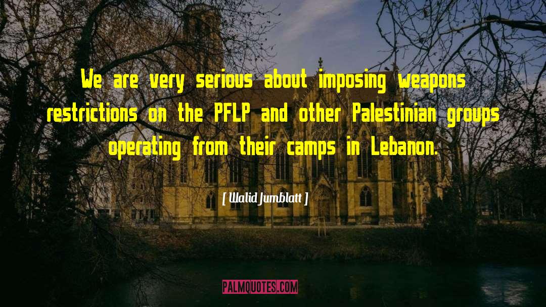 Palestinian Refugees quotes by Walid Jumblatt