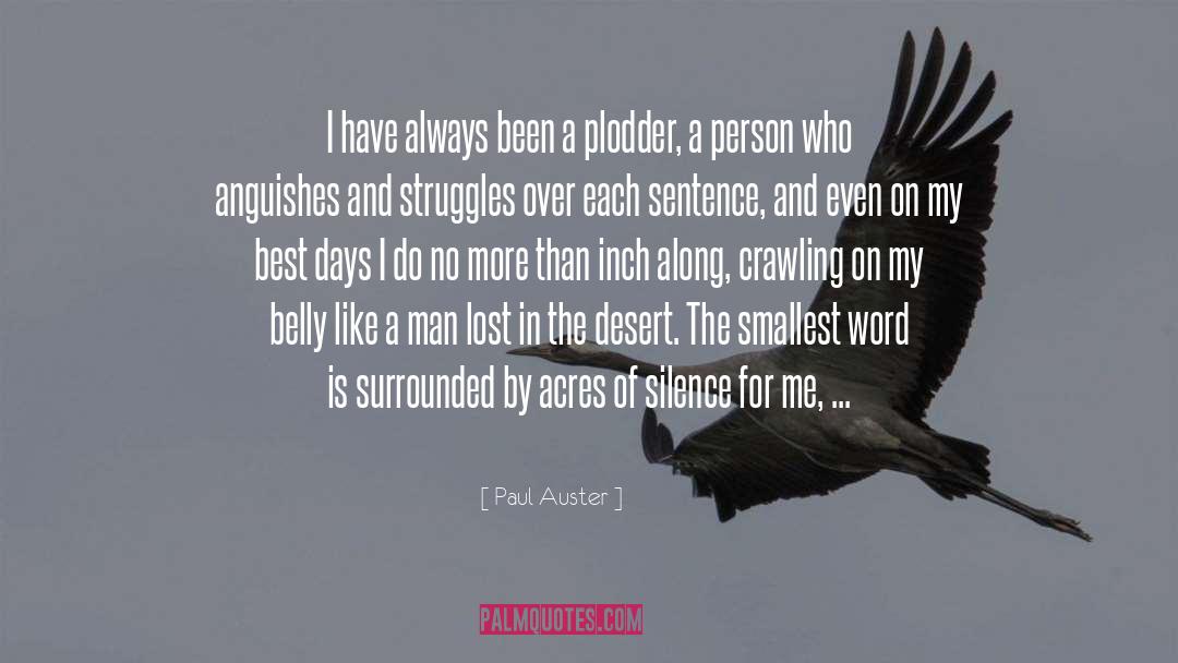 Palled In A Sentence quotes by Paul Auster