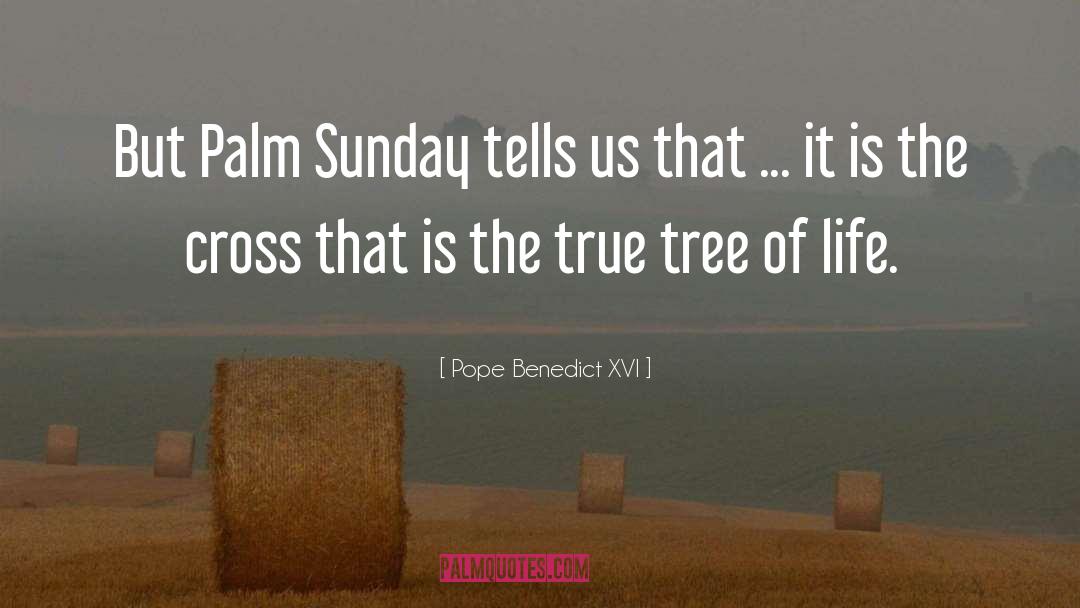 Palm Sunday quotes by Pope Benedict XVI