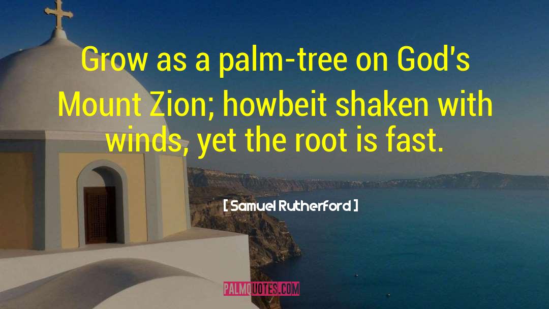 Palm Tree quotes by Samuel Rutherford