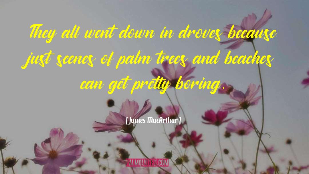 Palm Trees quotes by James MacArthur