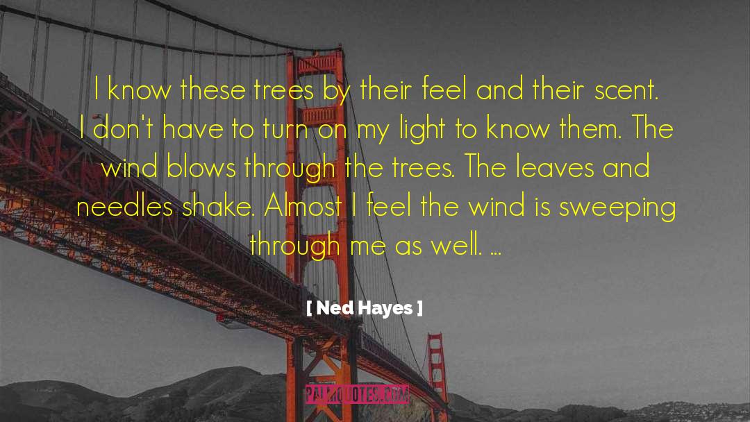 Palm Trees quotes by Ned Hayes