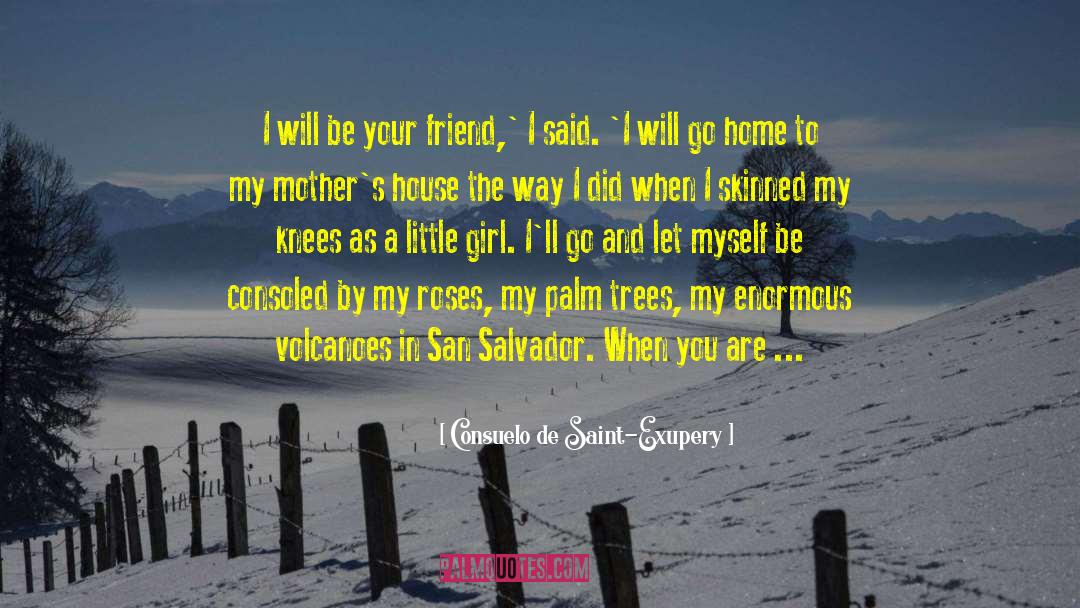 Palm Trees quotes by Consuelo De Saint-Exupery