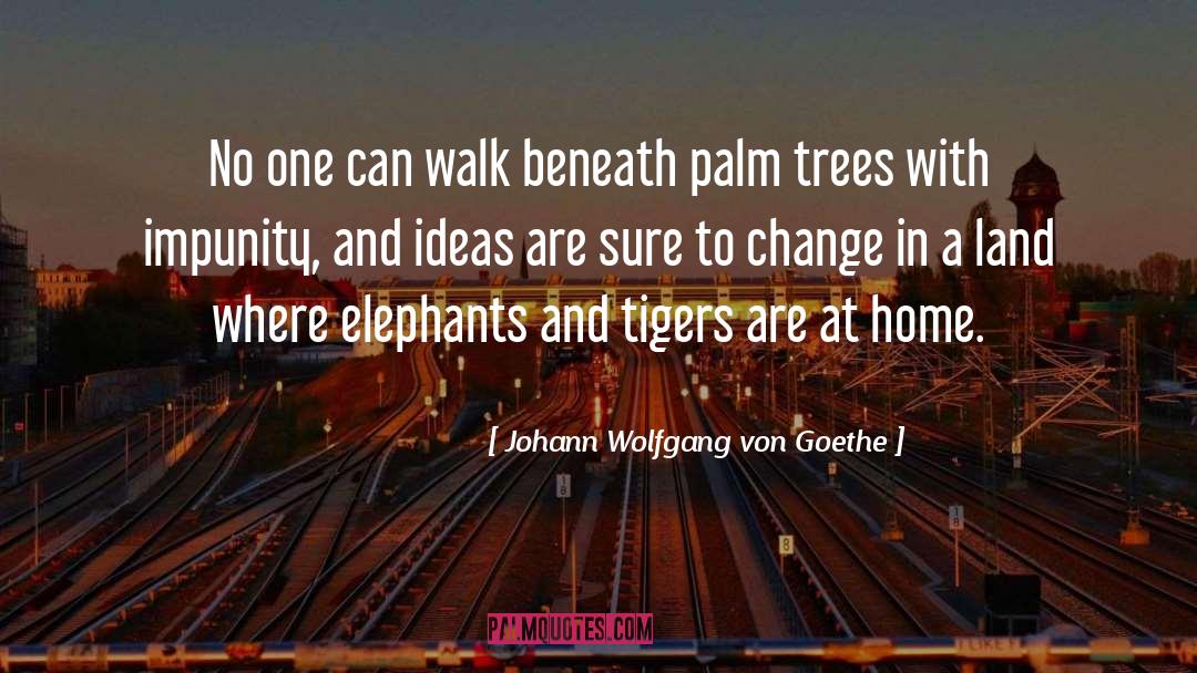 Palm Trees quotes by Johann Wolfgang Von Goethe