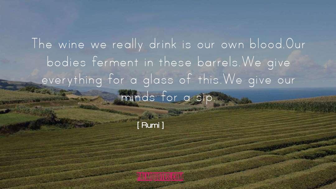 Palmaz Wine quotes by Rumi