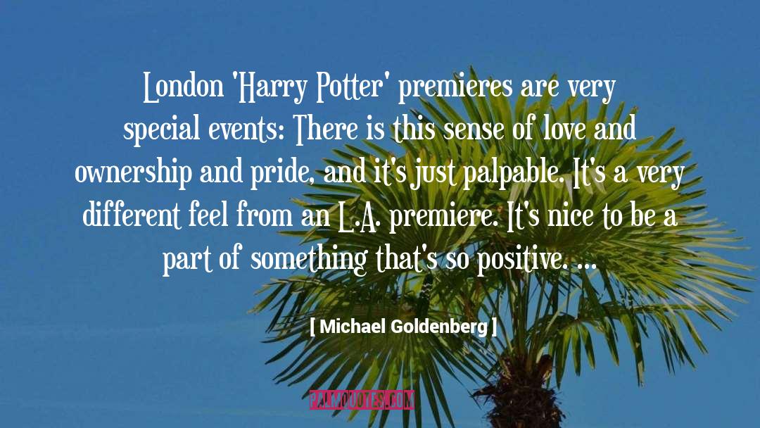 Palpable quotes by Michael Goldenberg