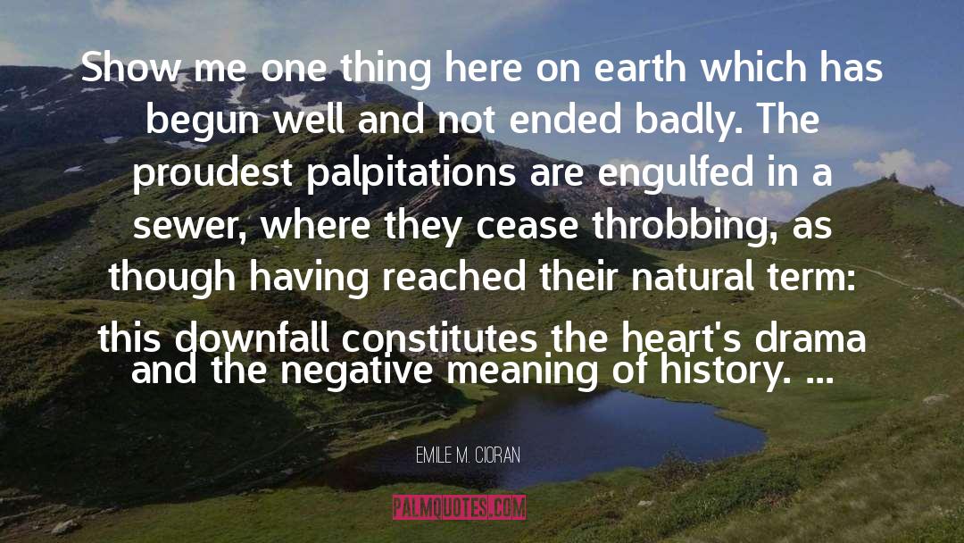 Palpitation quotes by Emile M. Cioran