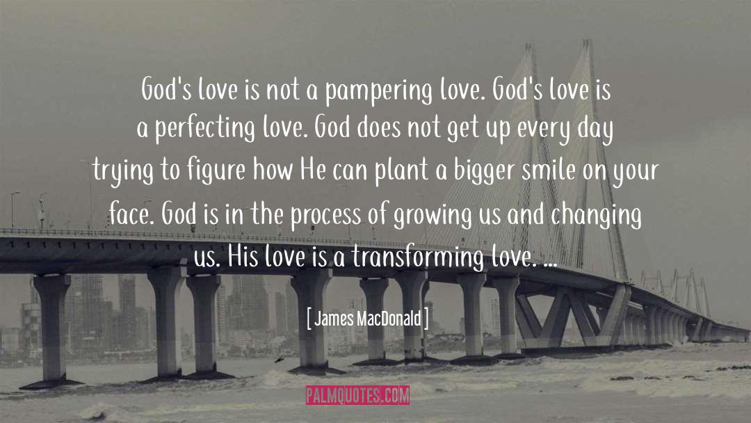 Pampering quotes by James MacDonald