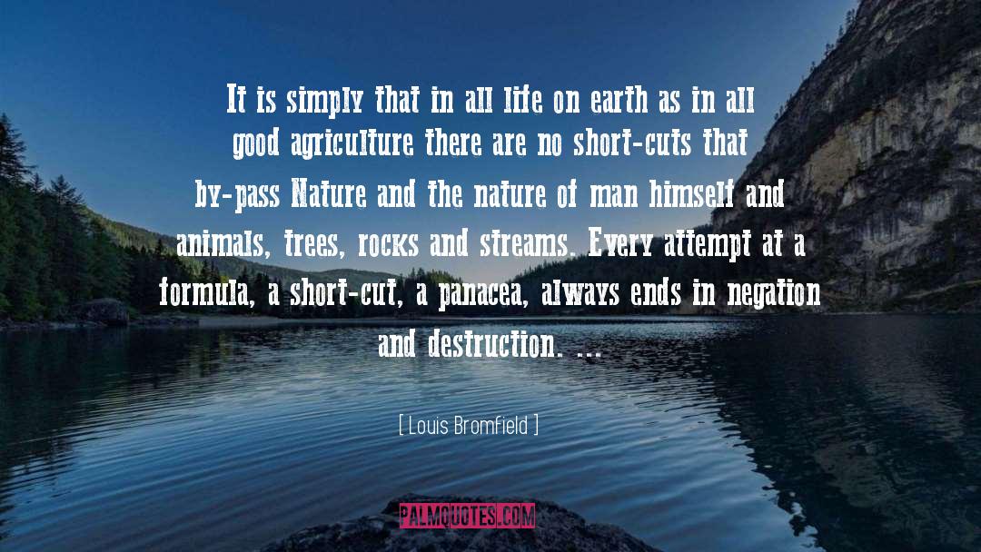 Panacea quotes by Louis Bromfield