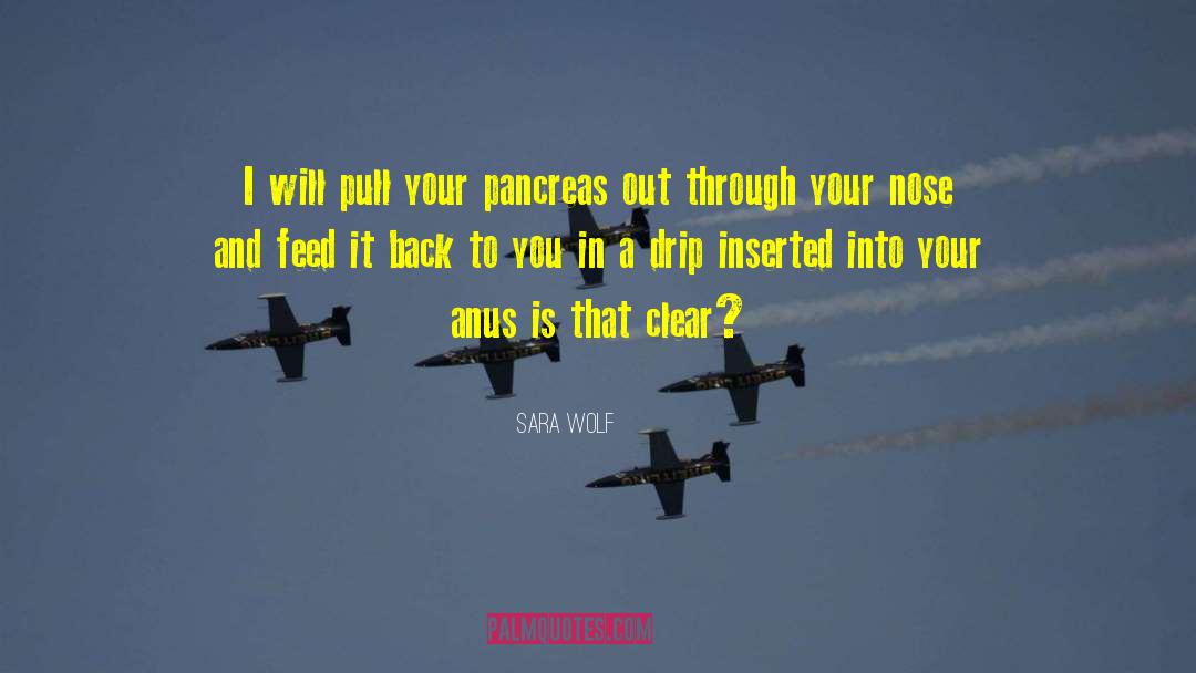 Pancreas quotes by Sara Wolf