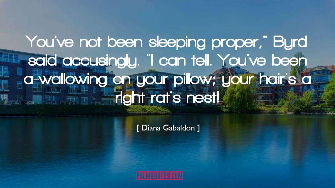 Panda Pillow Pets quotes by Diana Gabaldon