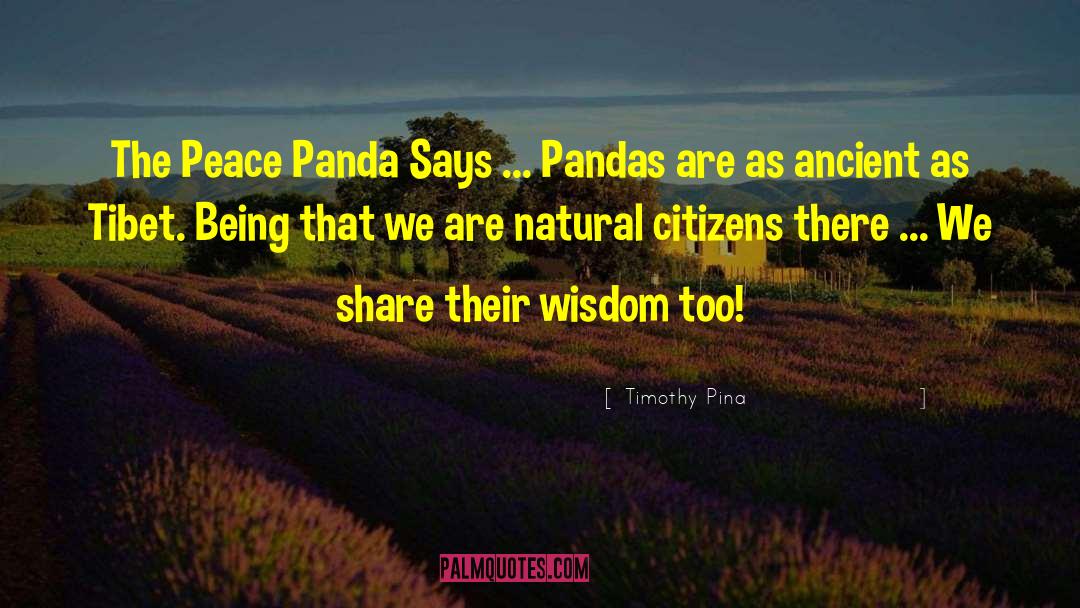 Pandas quotes by Timothy Pina