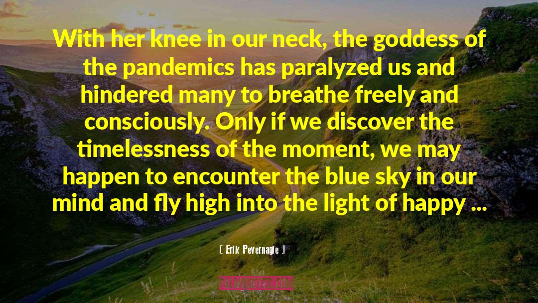 Pandemics quotes by Erik Pevernagie