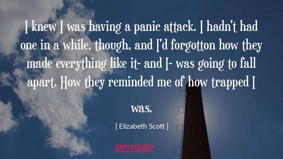 Panic Attack quotes by Elizabeth Scott