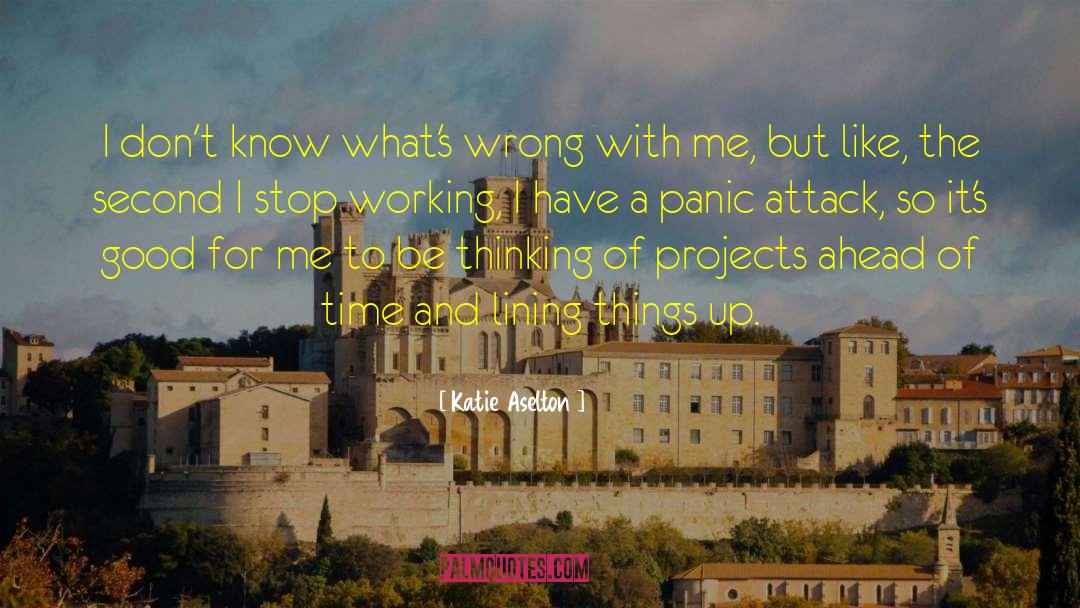 Panic Attack quotes by Katie Aselton